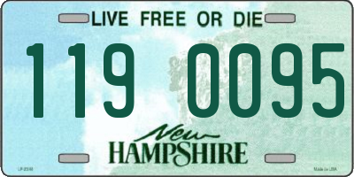 NH license plate 1190095
