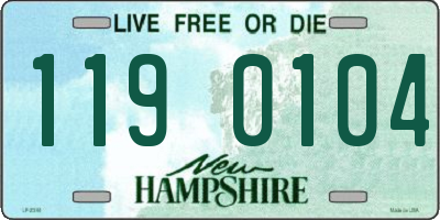 NH license plate 1190104