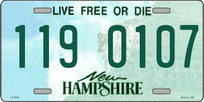 NH license plate 1190107
