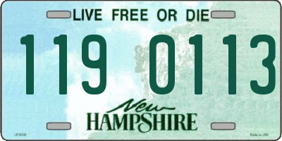 NH license plate 1190113