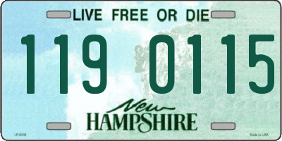 NH license plate 1190115