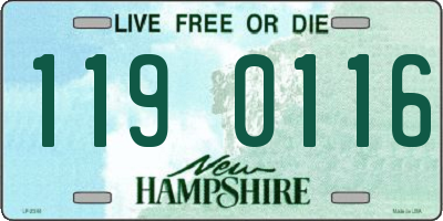 NH license plate 1190116
