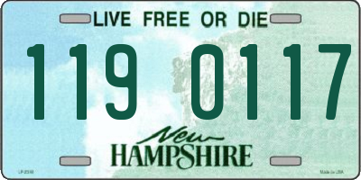 NH license plate 1190117