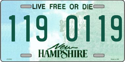 NH license plate 1190119
