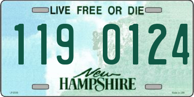 NH license plate 1190124