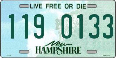 NH license plate 1190133
