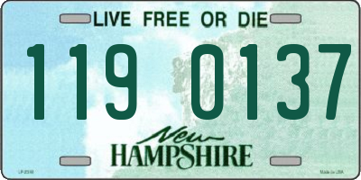 NH license plate 1190137