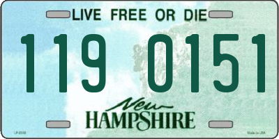 NH license plate 1190151