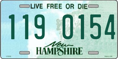 NH license plate 1190154