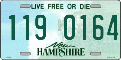 NH license plate 1190164