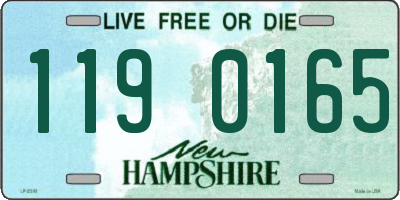 NH license plate 1190165