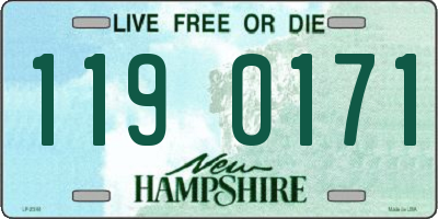 NH license plate 1190171