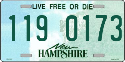 NH license plate 1190173