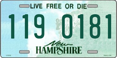 NH license plate 1190181