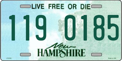 NH license plate 1190185