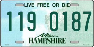 NH license plate 1190187