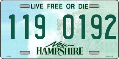 NH license plate 1190192