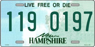 NH license plate 1190197