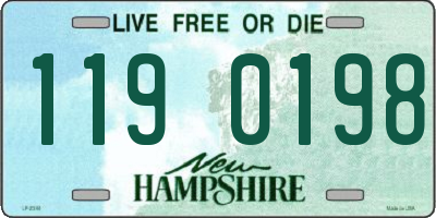 NH license plate 1190198