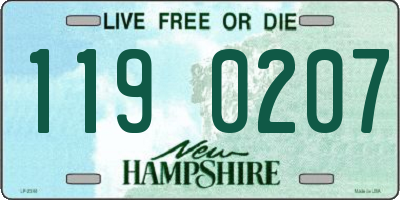 NH license plate 1190207