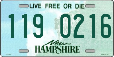 NH license plate 1190216