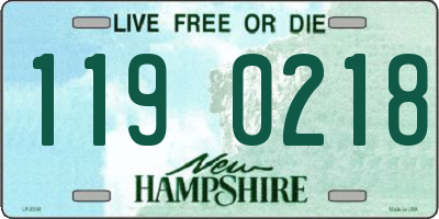 NH license plate 1190218