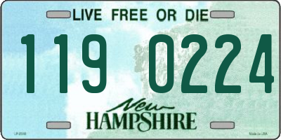 NH license plate 1190224