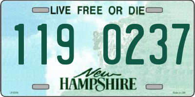 NH license plate 1190237