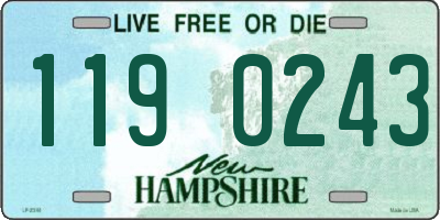 NH license plate 1190243