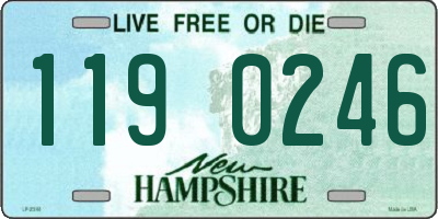 NH license plate 1190246