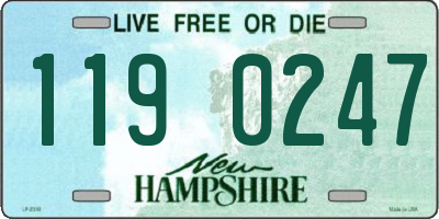 NH license plate 1190247
