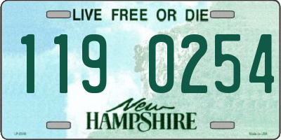 NH license plate 1190254