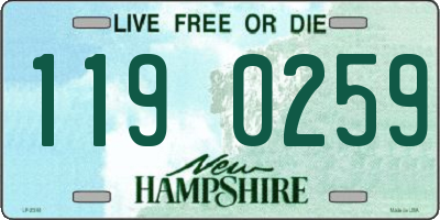 NH license plate 1190259