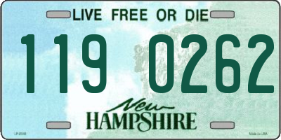 NH license plate 1190262