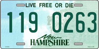NH license plate 1190263