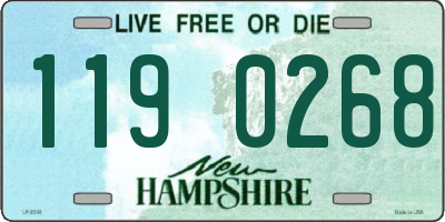 NH license plate 1190268
