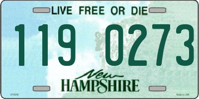 NH license plate 1190273