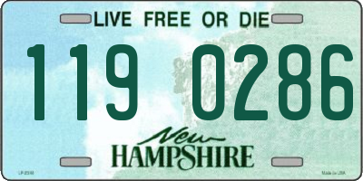 NH license plate 1190286