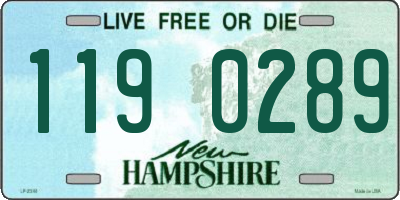 NH license plate 1190289