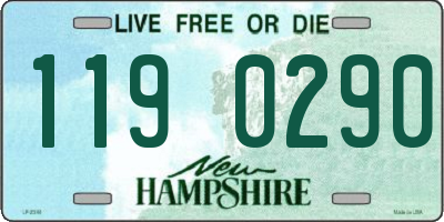 NH license plate 1190290