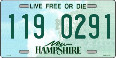 NH license plate 1190291