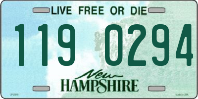 NH license plate 1190294