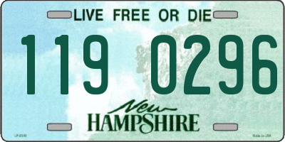 NH license plate 1190296