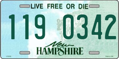 NH license plate 1190342