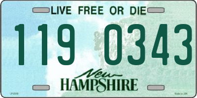 NH license plate 1190343