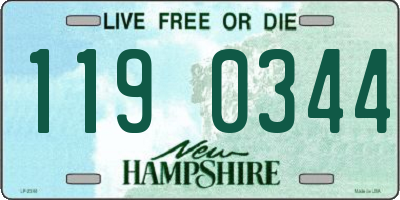 NH license plate 1190344