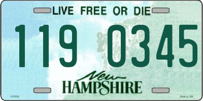 NH license plate 1190345