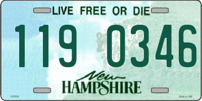 NH license plate 1190346