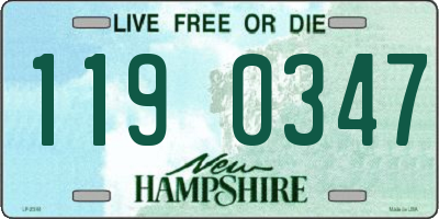 NH license plate 1190347