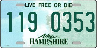 NH license plate 1190353